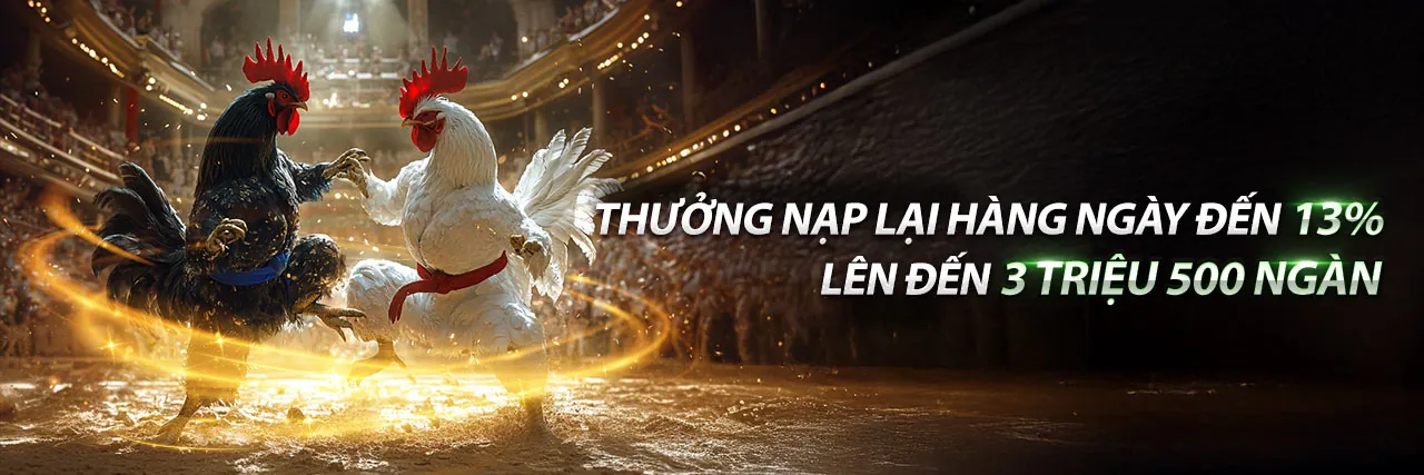 Đá gà trực tuyến s6667 code với không khí sôi động